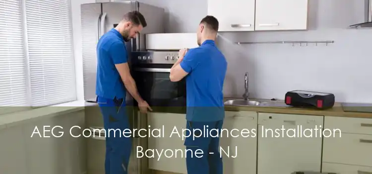 AEG Commercial Appliances Installation Bayonne - NJ