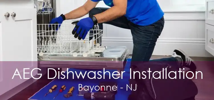 AEG Dishwasher Installation Bayonne - NJ