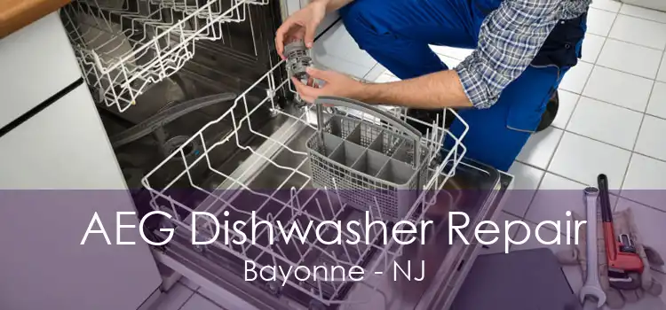 AEG Dishwasher Repair Bayonne - NJ