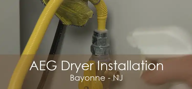 AEG Dryer Installation Bayonne - NJ