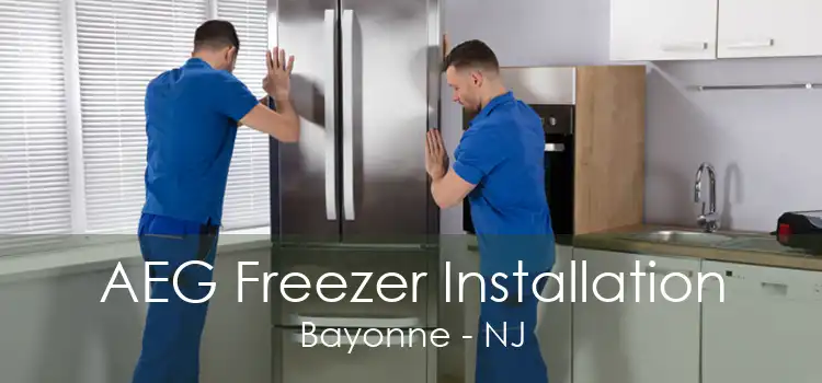 AEG Freezer Installation Bayonne - NJ