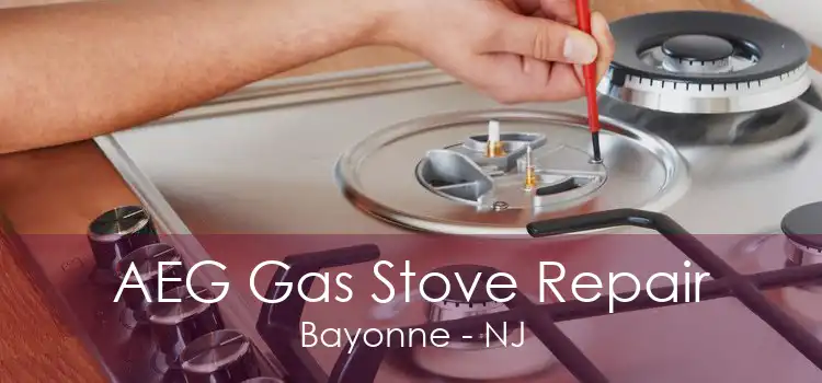 AEG Gas Stove Repair Bayonne - NJ