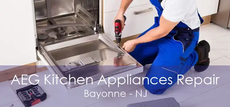 AEG Kitchen Appliances Repair Bayonne - NJ