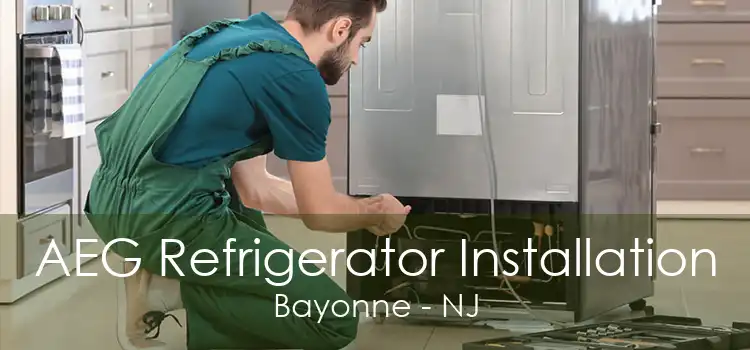 AEG Refrigerator Installation Bayonne - NJ