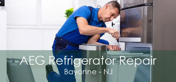 AEG Refrigerator Repair Bayonne - NJ