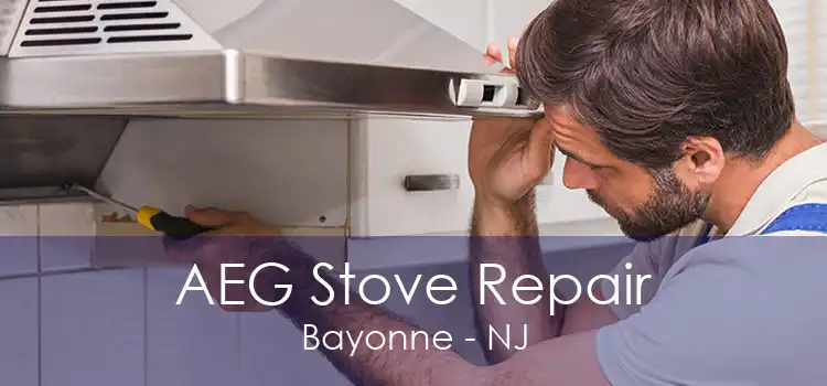 AEG Stove Repair Bayonne - NJ