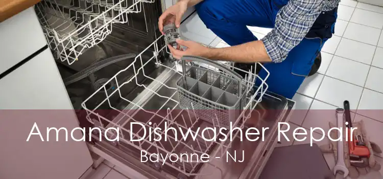 Amana Dishwasher Repair Bayonne - NJ