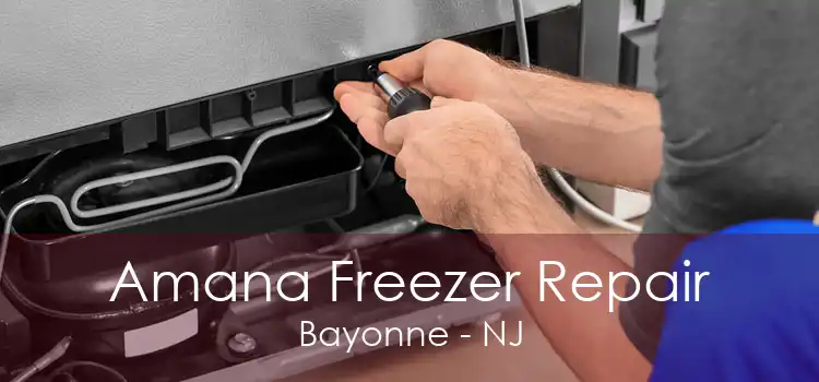 Amana Freezer Repair Bayonne - NJ