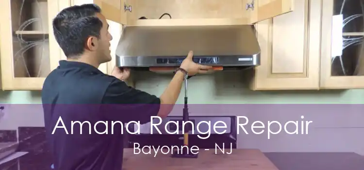 Amana Range Repair Bayonne - NJ