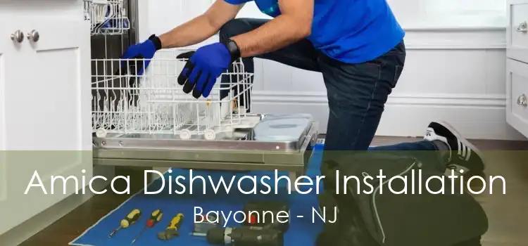 Amica Dishwasher Installation Bayonne - NJ