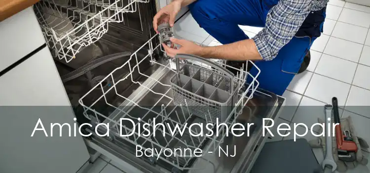 Amica Dishwasher Repair Bayonne - NJ