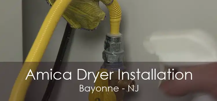 Amica Dryer Installation Bayonne - NJ