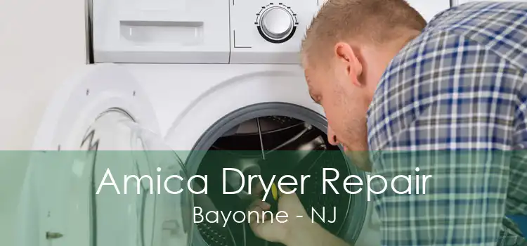 Amica Dryer Repair Bayonne - NJ