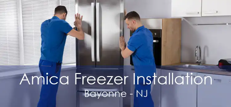 Amica Freezer Installation Bayonne - NJ