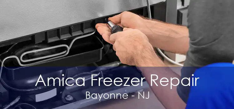 Amica Freezer Repair Bayonne - NJ