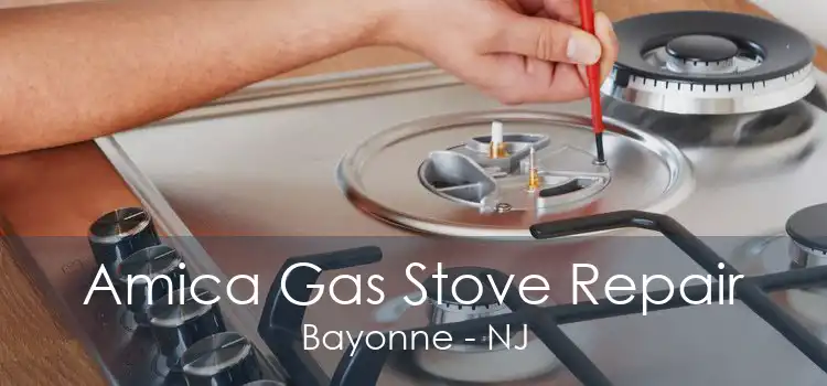 Amica Gas Stove Repair Bayonne - NJ