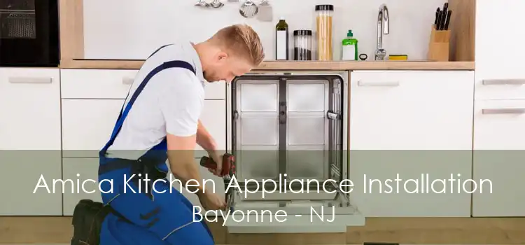 Amica Kitchen Appliance Installation Bayonne - NJ