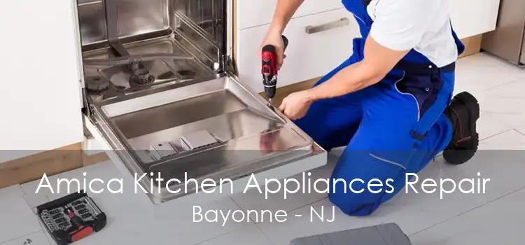 Amica Kitchen Appliances Repair Bayonne - NJ