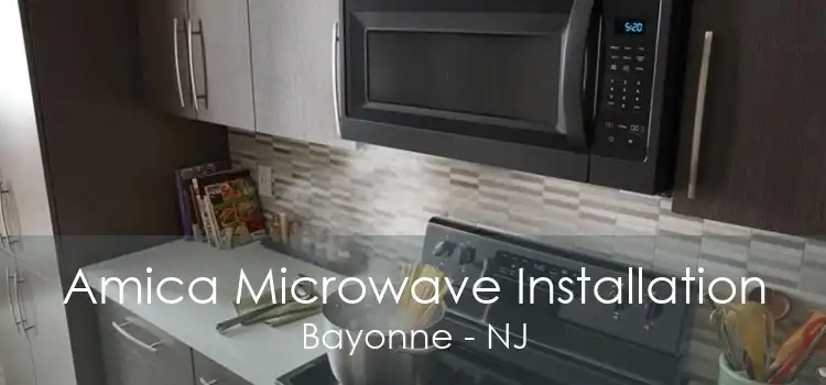 Amica Microwave Installation Bayonne - NJ