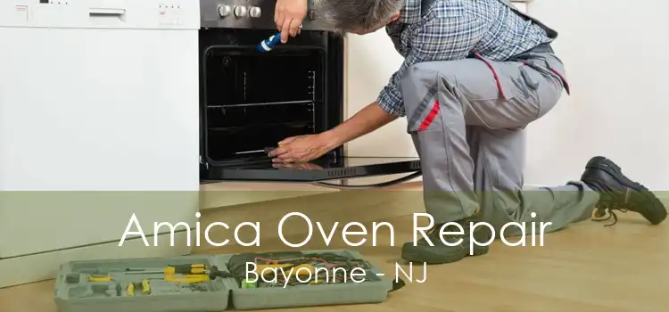 Amica Oven Repair Bayonne - NJ