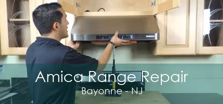 Amica Range Repair Bayonne - NJ