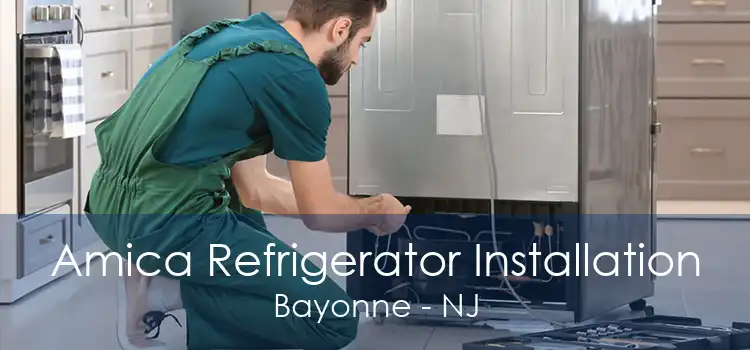 Amica Refrigerator Installation Bayonne - NJ