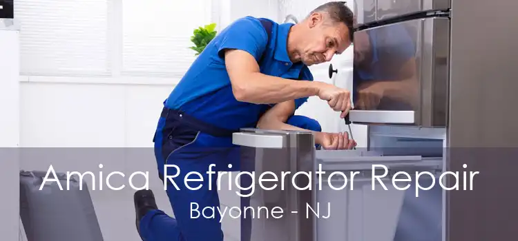 Amica Refrigerator Repair Bayonne - NJ