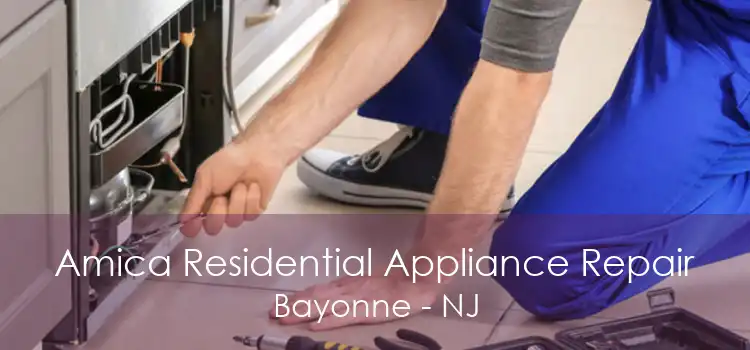 Amica Residential Appliance Repair Bayonne - NJ