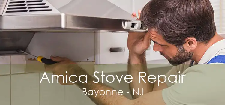 Amica Stove Repair Bayonne - NJ