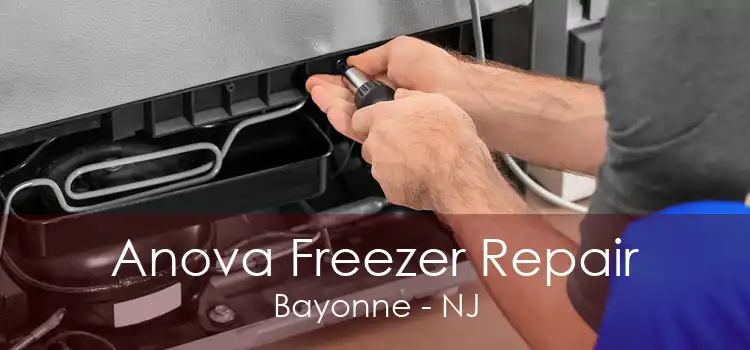 Anova Freezer Repair Bayonne - NJ