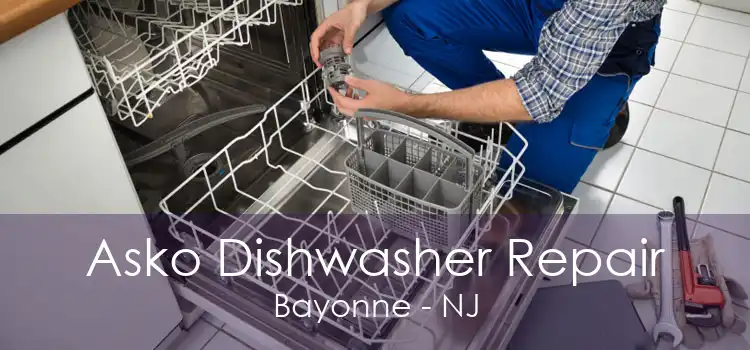 Asko Dishwasher Repair Bayonne - NJ