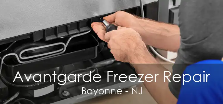 Avantgarde Freezer Repair Bayonne - NJ