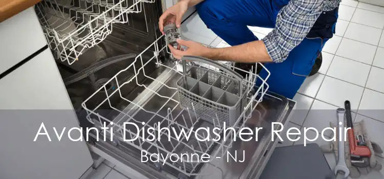 Avanti Dishwasher Repair Bayonne - NJ