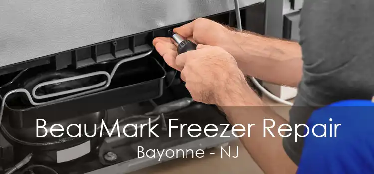 BeauMark Freezer Repair Bayonne - NJ