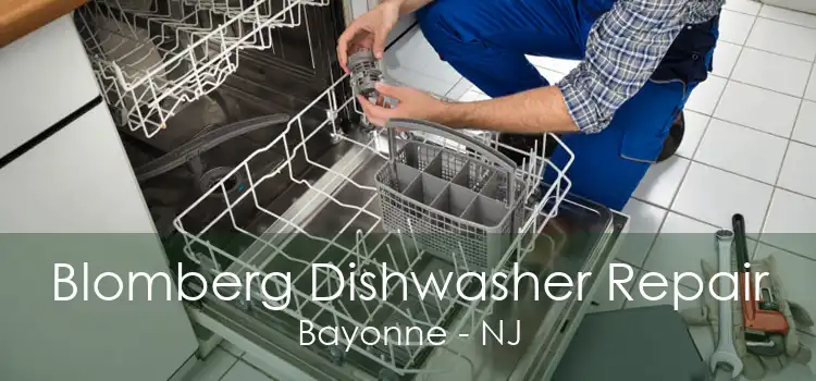 Blomberg Dishwasher Repair Bayonne - NJ