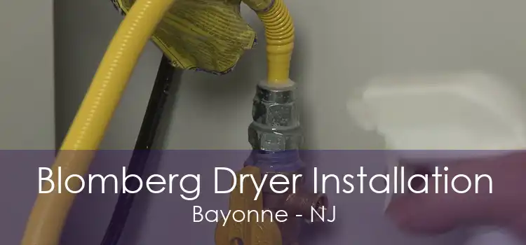 Blomberg Dryer Installation Bayonne - NJ