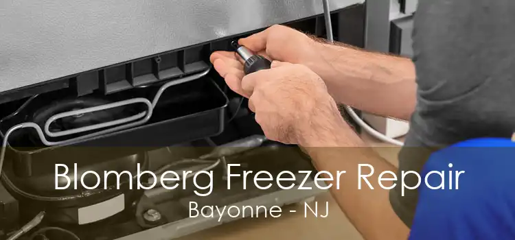 Blomberg Freezer Repair Bayonne - NJ