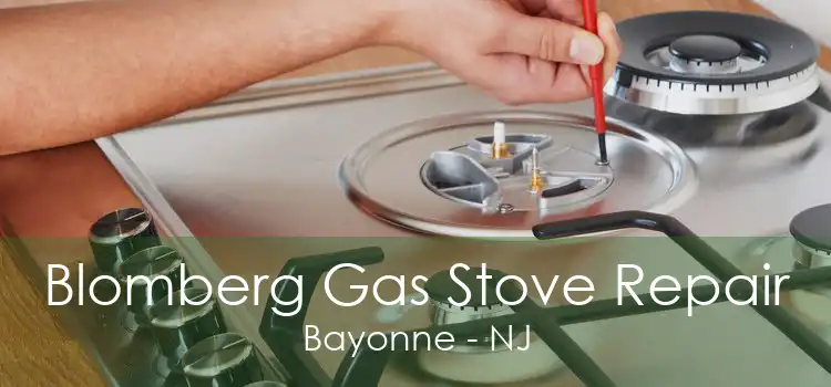 Blomberg Gas Stove Repair Bayonne - NJ