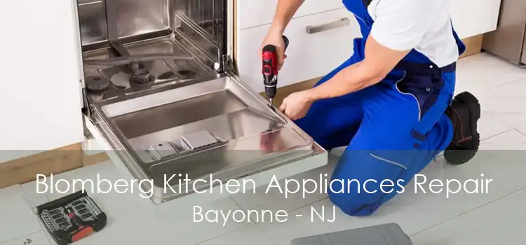 Blomberg Kitchen Appliances Repair Bayonne - NJ