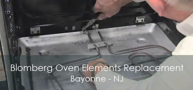 Blomberg Oven Elements Replacement Bayonne - NJ