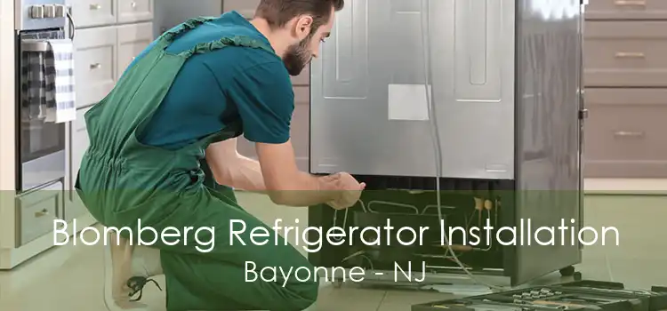 Blomberg Refrigerator Installation Bayonne - NJ