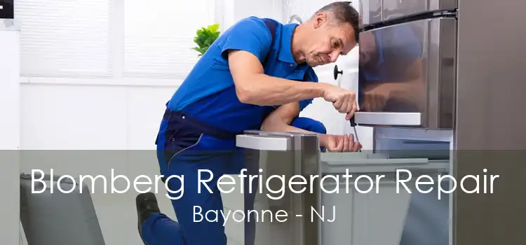 Blomberg Refrigerator Repair Bayonne - NJ