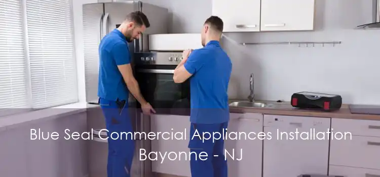 Blue Seal Commercial Appliances Installation Bayonne - NJ