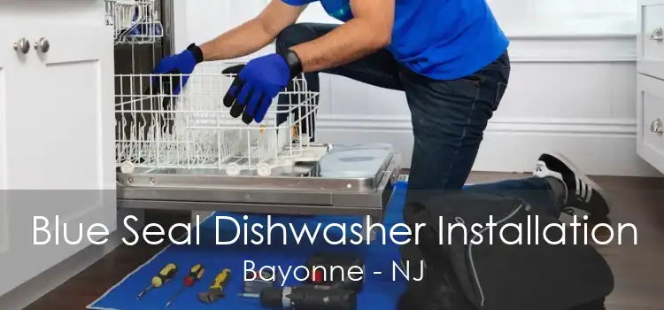 Blue Seal Dishwasher Installation Bayonne - NJ