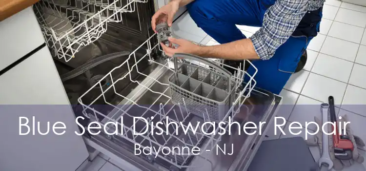 Blue Seal Dishwasher Repair Bayonne - NJ