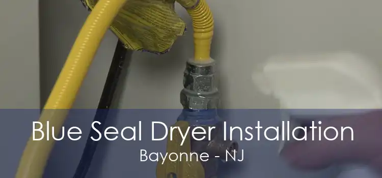 Blue Seal Dryer Installation Bayonne - NJ