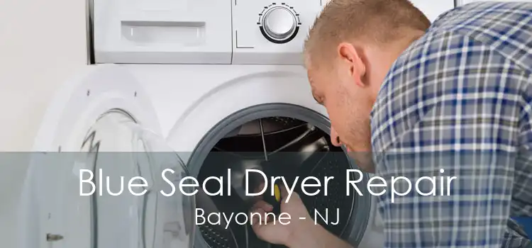 Blue Seal Dryer Repair Bayonne - NJ