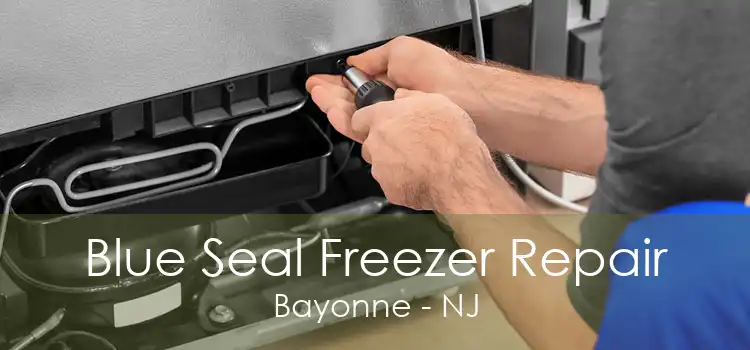 Blue Seal Freezer Repair Bayonne - NJ