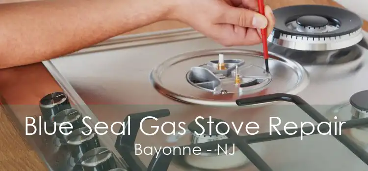 Blue Seal Gas Stove Repair Bayonne - NJ