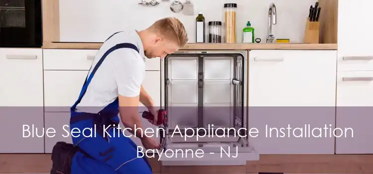 Blue Seal Kitchen Appliance Installation Bayonne - NJ